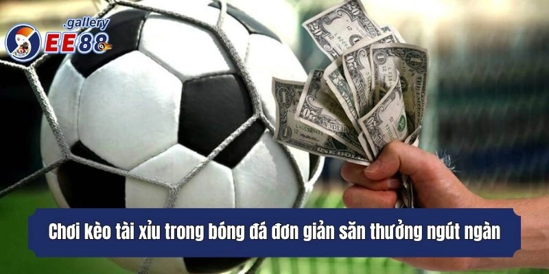 Chơi kèo tài xỉu trong bóng đá đơn giản săn thưởng ngút ngàn