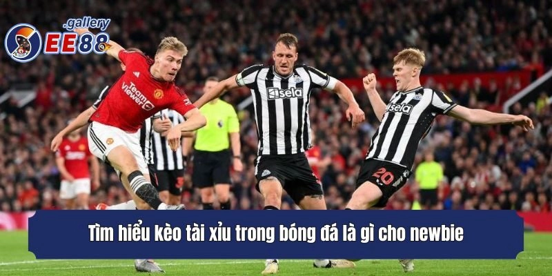 Tìm hiểu kèo tài xỉu trong bóng đá là gì cho newbie